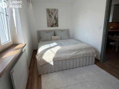Sale apartment 2+1 Planá, Wolkerova č. 7