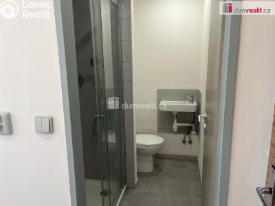 Pronájem bytu 2+KK Jílové, Školní č. 11