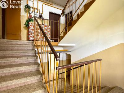 Sale apartment 2+1 Toužim č. 10
