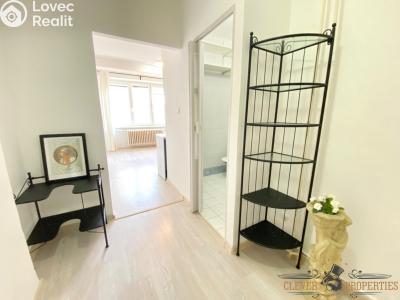 Pronájem bytu 1+KK Pardubice, Havlíčkova 2545 č. 3