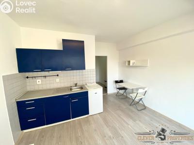 Pronájem bytu 1+KK Pardubice, Havlíčkova 2545 č. 4