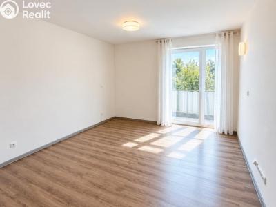 Rent apartment 2+KK Chlumec nad Cidlinou, Rooseveltova č. 5