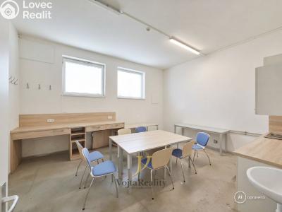 Pronájem výrobní haly Olomouc, Andělská č. 9