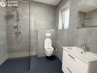 Sale apartment 1+KK Paceřice č. 4