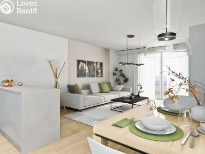 Sale apartment 1+KK Paceřice č. 8