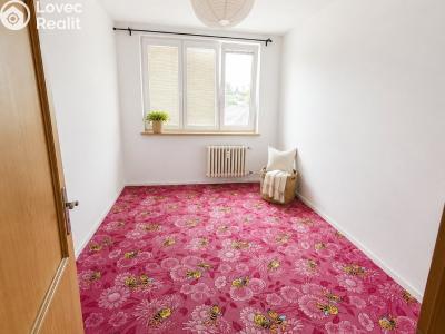 Rent apartment 3+1 Opava, Skřivánčí č. 4