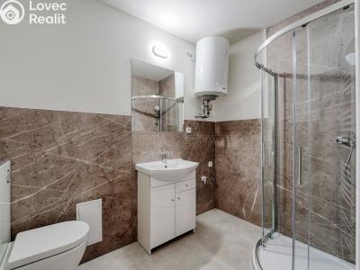 Prodej bytu 3+KK Chotěšov, Kollárova č. 11