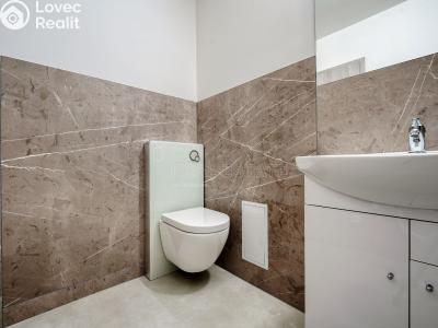 Prodej bytu 3+KK Chotěšov, Kollárova č. 13