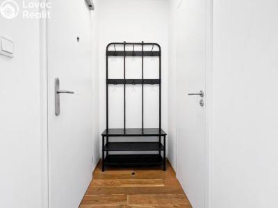 Оренда квартири 1+KK Praha, Perucká č. 6