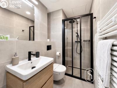 Оренда квартири 1+KK Praha, Perucká č. 9