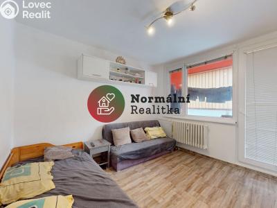Sale apartment 1+KK Kralupy nad Vltavou, sídl. Hůrka č. 2