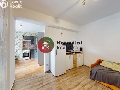 Sale apartment 1+KK Kralupy nad Vltavou, sídl. Hůrka č. 6