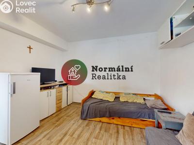 Sale apartment 1+KK Kralupy nad Vltavou, sídl. Hůrka č. 7