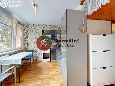 Sale apartment 1+KK Kralupy nad Vltavou, sídl. Hůrka č. 8