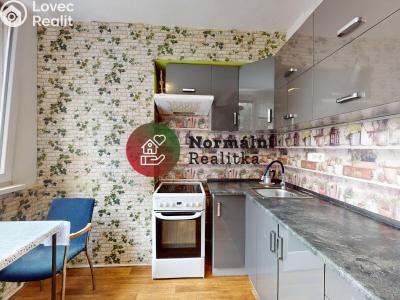 Sale apartment 1+KK Kralupy nad Vltavou, sídl. Hůrka č. 9