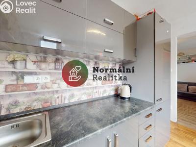 Sale apartment 1+KK Kralupy nad Vltavou, sídl. Hůrka č. 10
