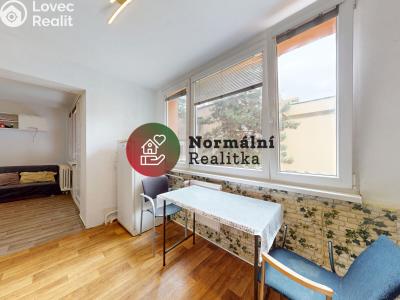 Sale apartment 1+KK Kralupy nad Vltavou, sídl. Hůrka č. 12
