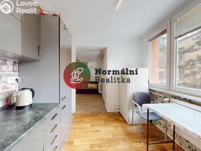 Sale apartment 1+KK Kralupy nad Vltavou, sídl. Hůrka č. 13