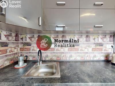 Sale apartment 1+KK Kralupy nad Vltavou, sídl. Hůrka č. 14