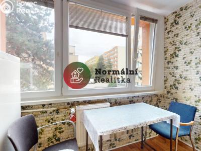 Sale apartment 1+KK Kralupy nad Vltavou, sídl. Hůrka č. 16
