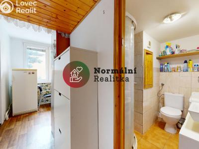 Sale apartment 1+KK Kralupy nad Vltavou, sídl. Hůrka č. 19