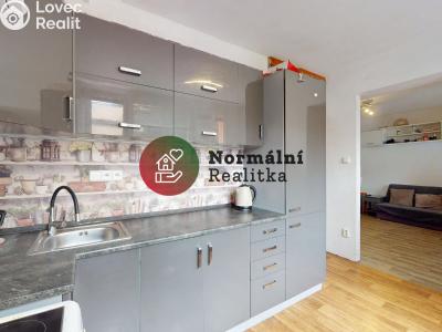 Sale apartment 1+KK Kralupy nad Vltavou, sídl. Hůrka č. 32