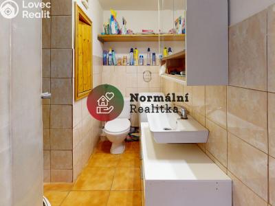 Sale apartment 1+KK Kralupy nad Vltavou, sídl. Hůrka č. 35