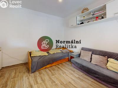 Sale apartment 1+KK Kralupy nad Vltavou, sídl. Hůrka č. 39