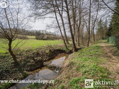 Sale hut Chyňava č. 24