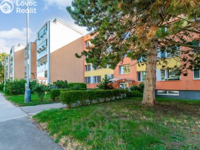 Prodej bytu 4+KK Praha, Křivenická č. 25
