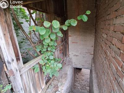 Sale family house Chrast č. 30
