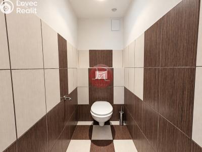Продаж виробничого цеху Hranice, Hranická č. 22