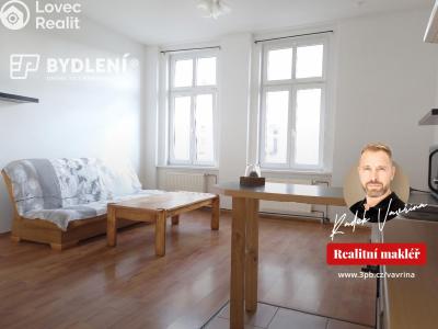 Pronájem bytu 1+1 Teplice, Revoluční č. 10