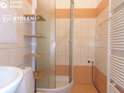 Pronájem bytu 1+1 Teplice, Revoluční č. 5
