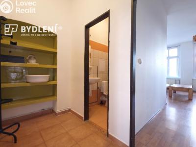 Pronájem bytu 1+1 Teplice, Revoluční č. 8