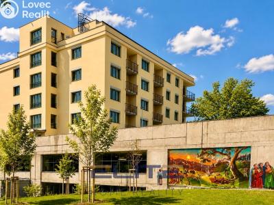 Prodej bytu 1+KK Liberec, Tovární č. 15