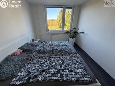 Prodej bytu 4+1 Nová Ves v Horách č. 11