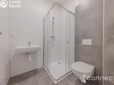 Sale apartment 1+1 Přerov, Husova č. 7