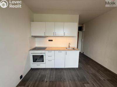 Pronájem bytu 1+1 Most, Marš. Rybalka 1029 č. 1