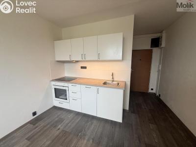 Pronájem bytu 1+1 Most, Marš. Rybalka 1029 č. 2