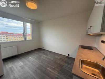 Pronájem bytu 1+1 Most, Marš. Rybalka 1029 č. 4
