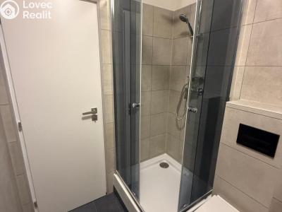 Pronájem bytu 1+1 Most, Marš. Rybalka 1029 č. 7