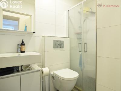 Sale apartment 1+KK Brno, Ptašínského č. 9
