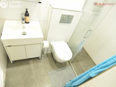 Sale apartment 1+KK Brno, Ptašínského č. 10