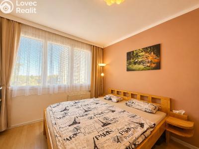 Prodej bytu 3+1 České Budějovice, Kubatova č. 10