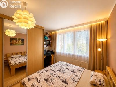 Prodej bytu 3+1 České Budějovice, Kubatova č. 11