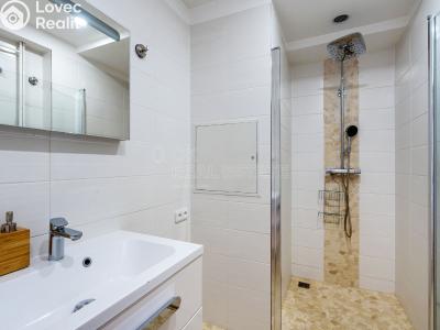 Pronájem bytu 2+1 Praha, Fričova č. 12
