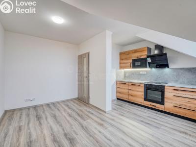Rent apartment 2+KK Chotěšov, Kollárova č. 1