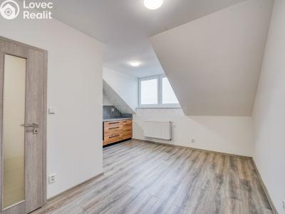 Rent apartment 2+KK Chotěšov, Kollárova č. 2