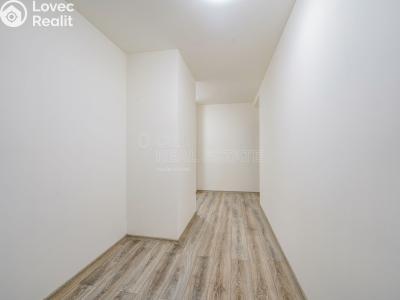 Rent apartment 2+KK Chotěšov, Kollárova č. 6